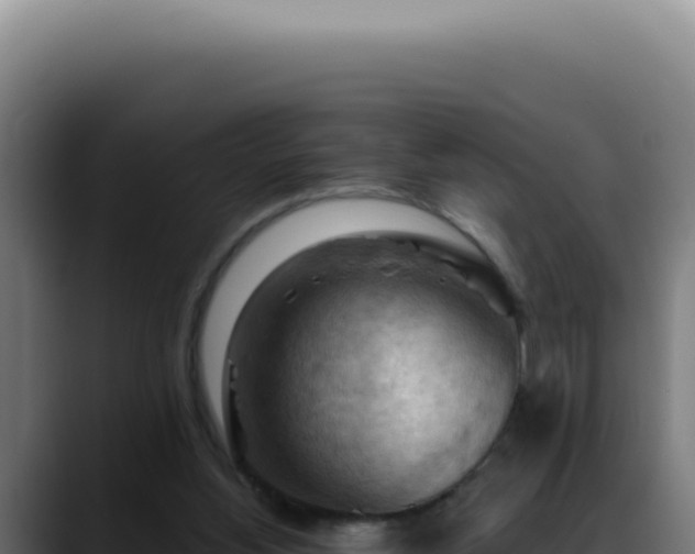 X0000088410156200705291456