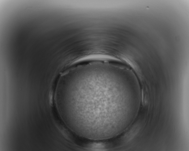 X0000088410157200705291456