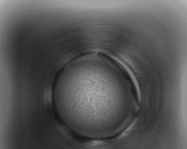 X0000088410158200705291456
