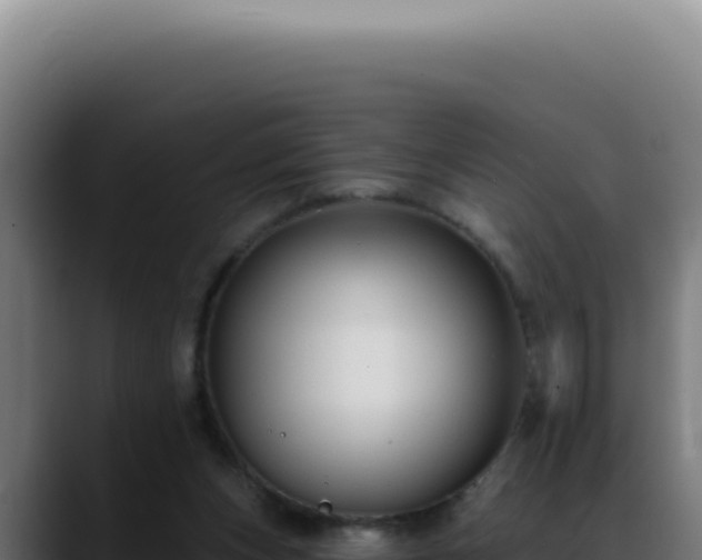 X0000088410159200705291456