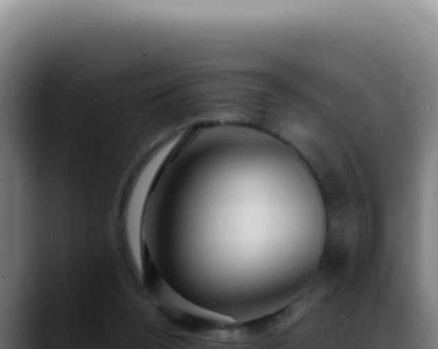 X0000088410160200705291456