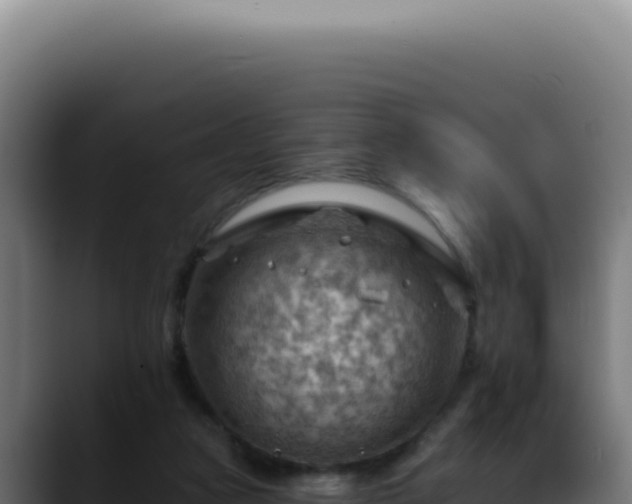 X0000088410161200705291456