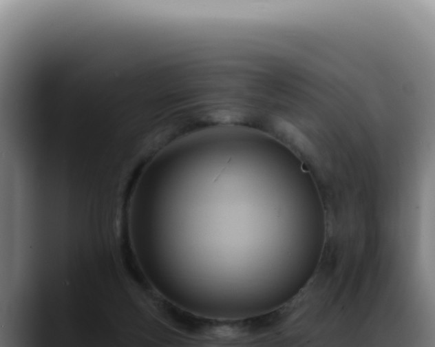 X0000088410163200705291456