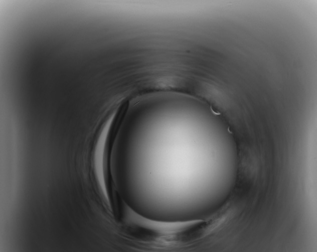 X0000088410164200705291456
