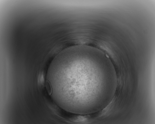 X0000088410166200705291456