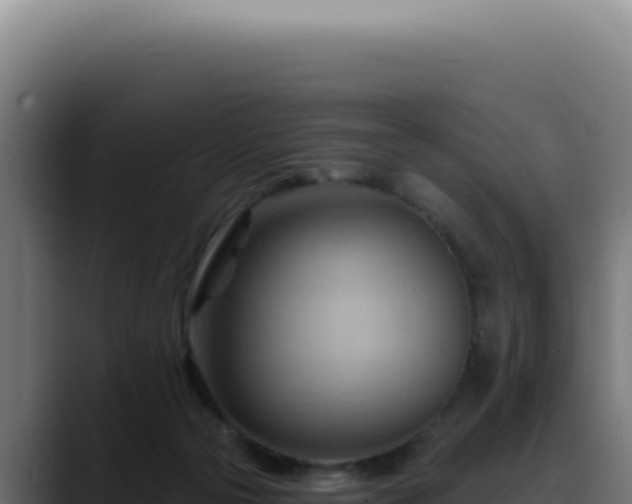 X0000088410169200705291456