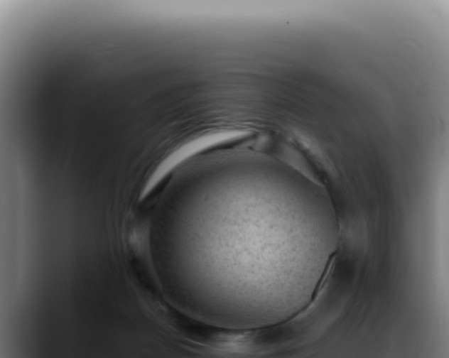 X0000088410170200705291456