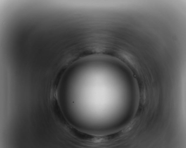 X0000088410172200705291456