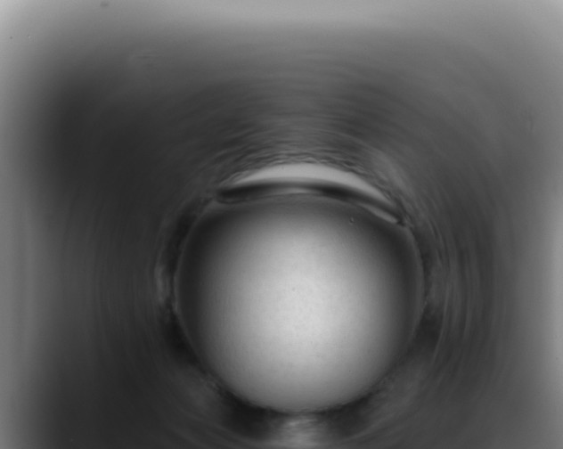 X0000088410173200705291456