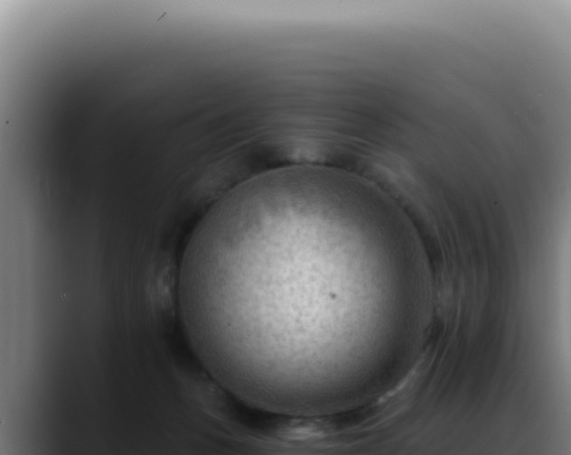 X0000088410175200705291456