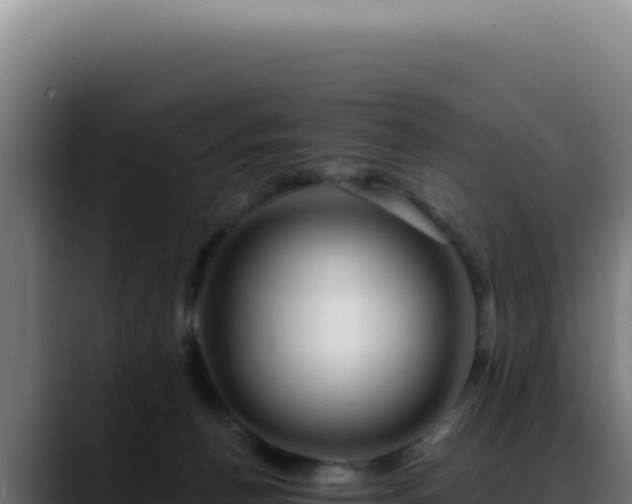 X0000088410176200705291456