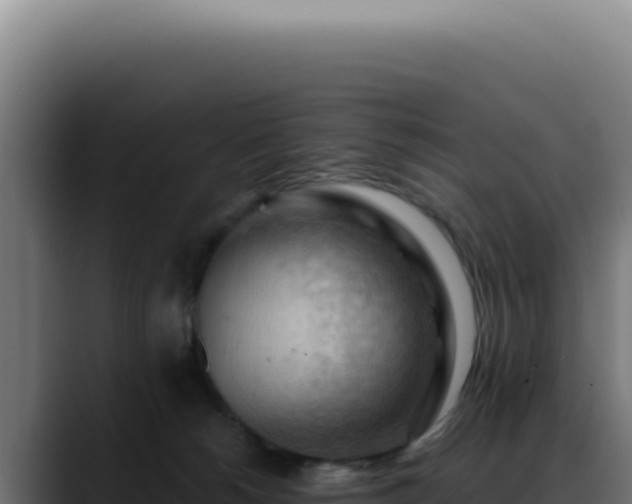 X0000088410180200705291456