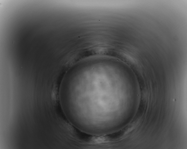 X0000088410181200705291456