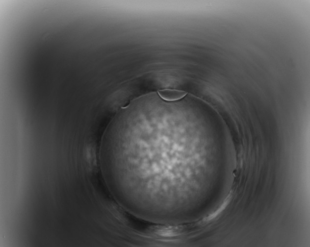 X0000088410182200705291456