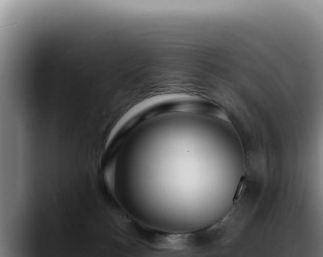 X0000088410184200705291456
