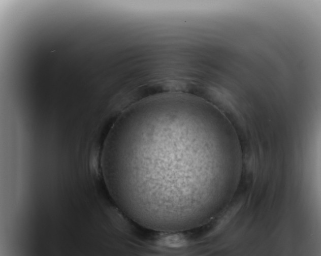 X0000088410185200705291456