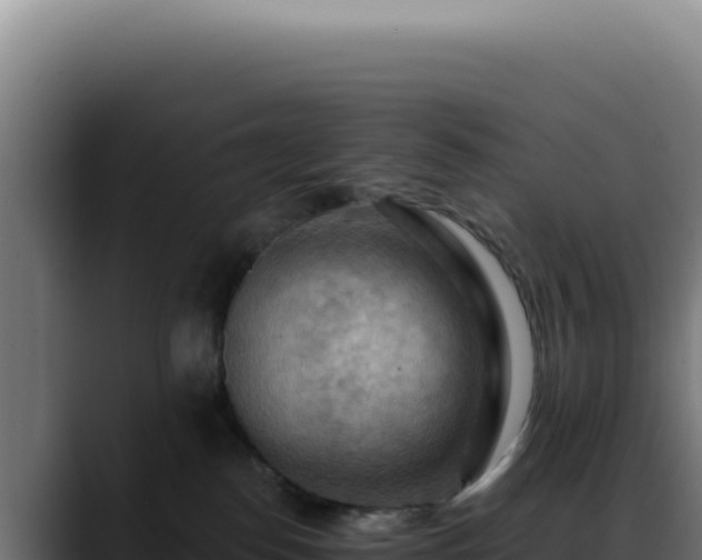 X0000088410186200705291456