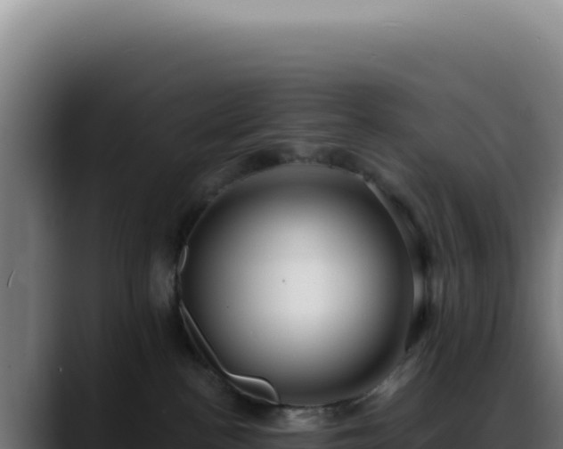 X0000088410188200705291456