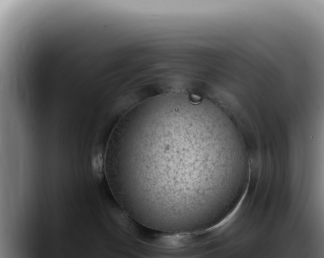 X0000088410190200705291456