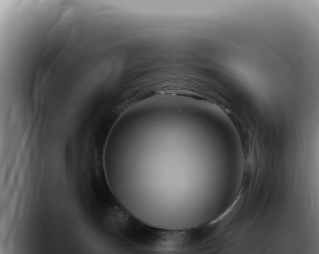 X0000088410191200705291456
