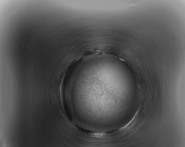 X0000088410192200705291456