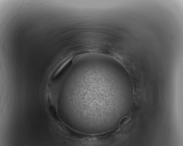 X0000088410194200705291456