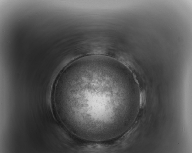 X0000088410195200705291456