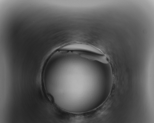 X0000088410196200705291456
