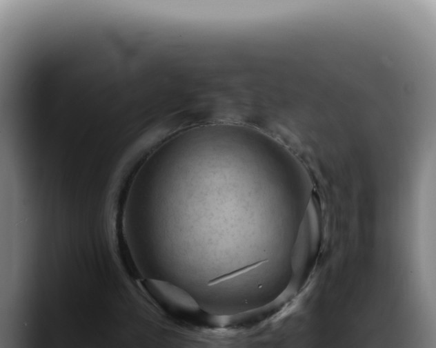 X0000088410197200705291456