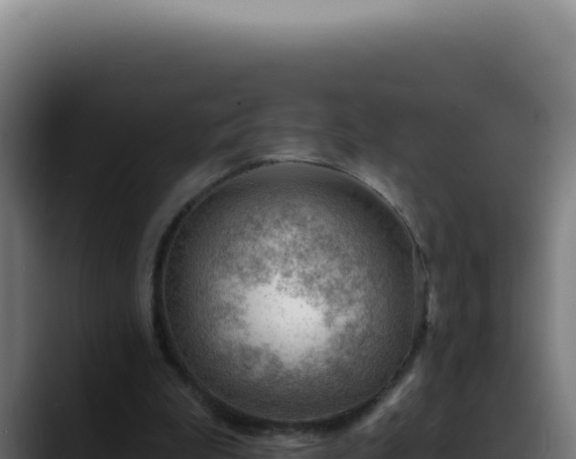 X0000088410199200705291456
