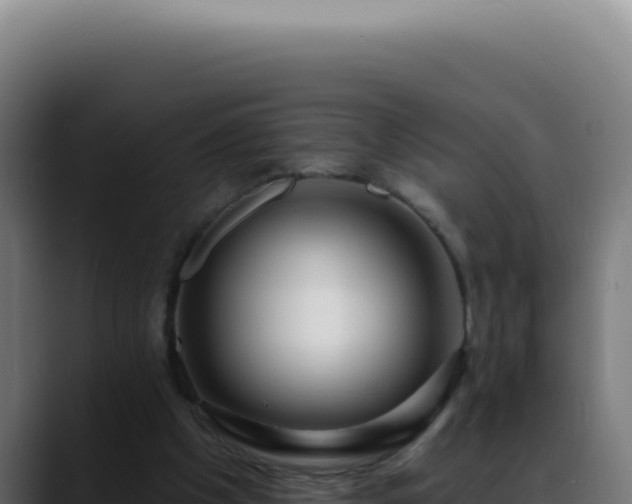 X0000088410201200705291456