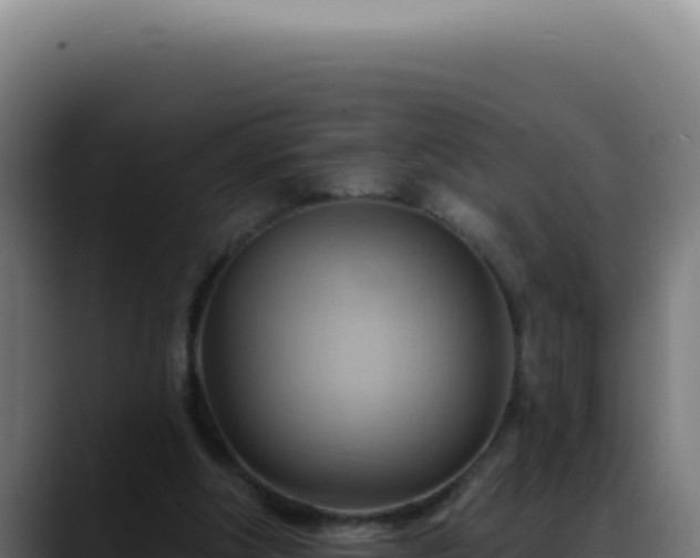 X0000088410202200705291456