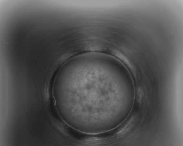X0000088410203200705291456
