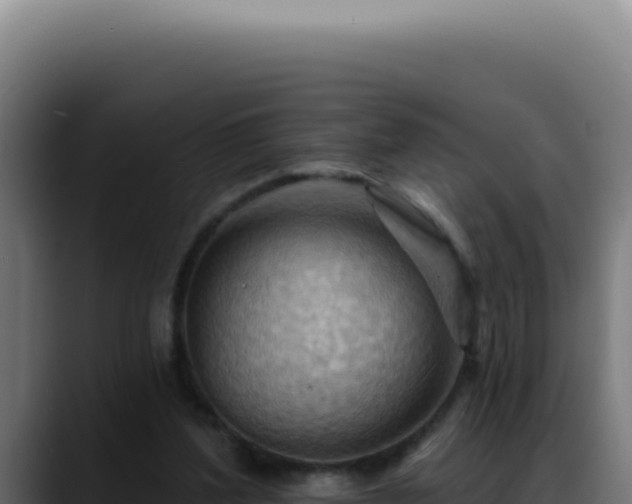 X0000088410204200705291456