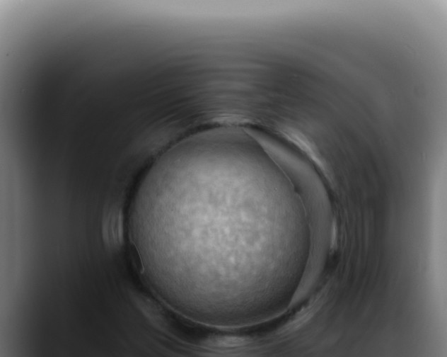 X0000088410205200705291456