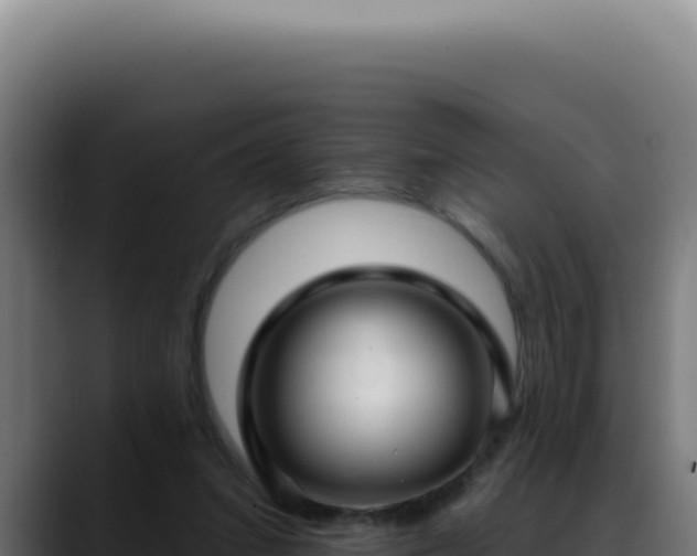 X0000088410207200705291456