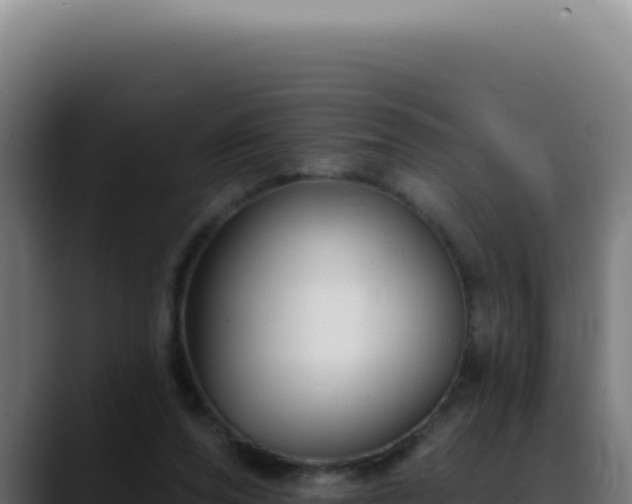 X0000088410208200705291456