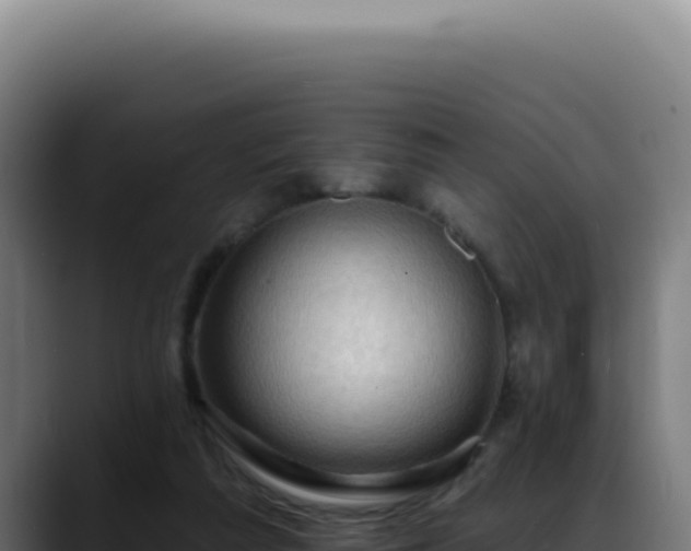 X0000088410209200705291456