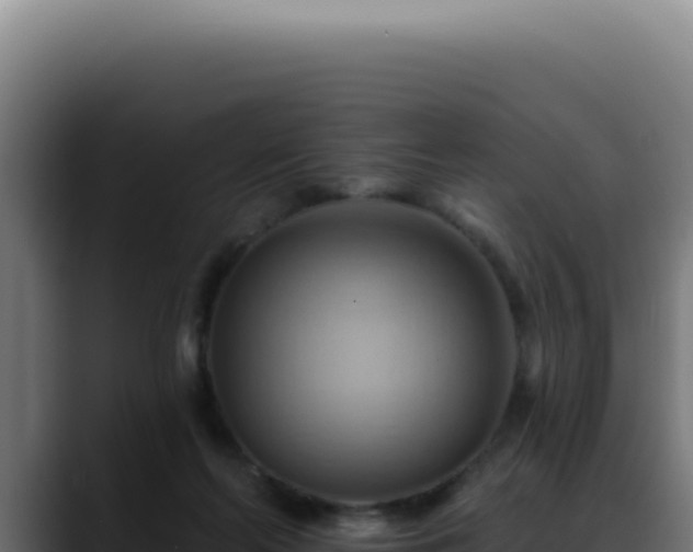 X0000088410214200705291456