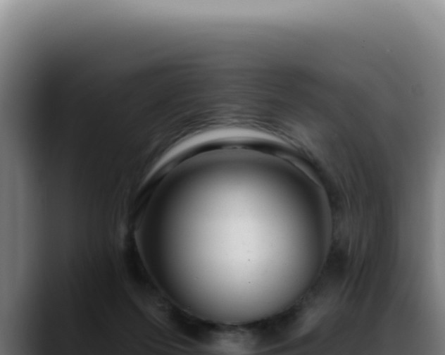 X0000088410215200705291456