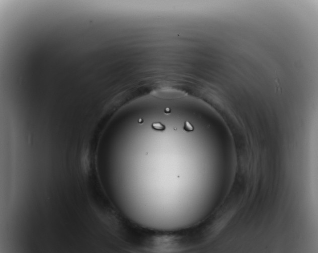 X0000088410216200705291456