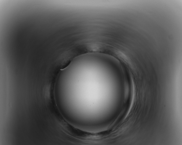 X0000088410217200705291456