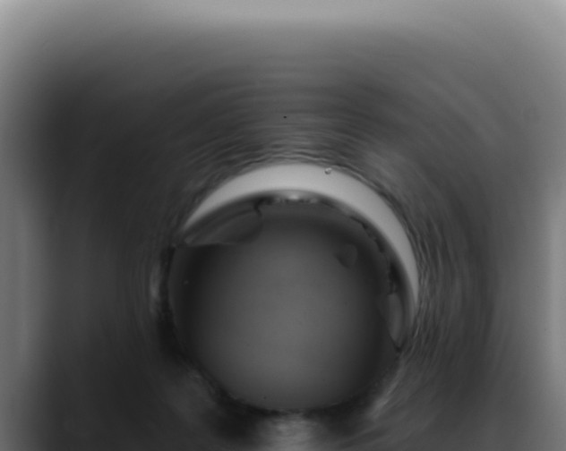 X0000088410219200705291455
