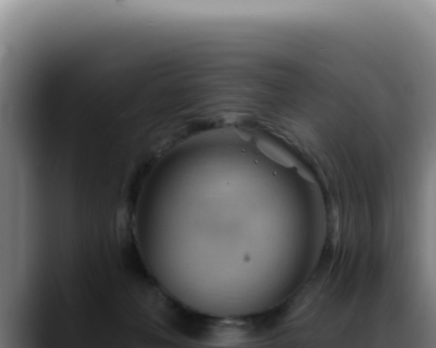 X0000088410222200705291455