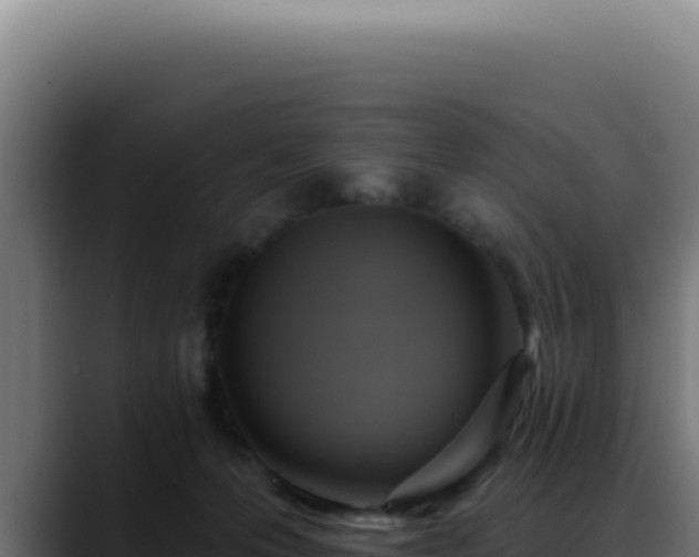 X0000088410223200705291455