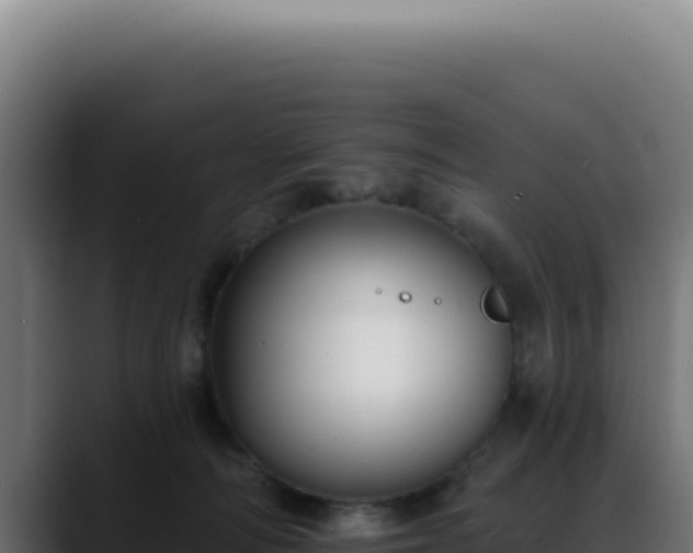 X0000088410226200705291455