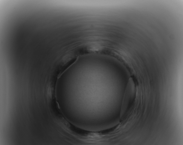 X0000088410227200705291455