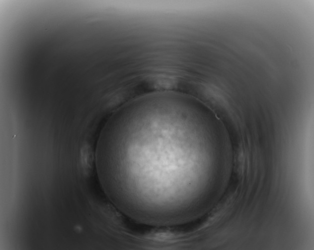 X0000088410228200705291455
