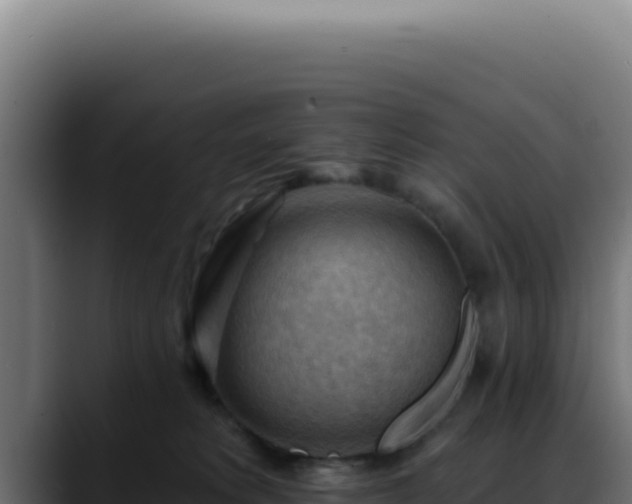 X0000088410229200705291455