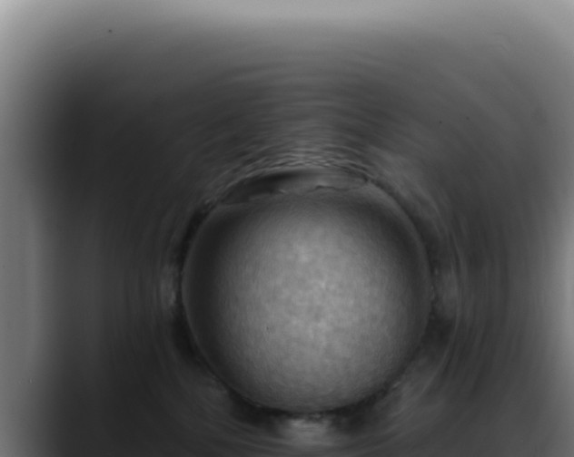 X0000088410232200705291455